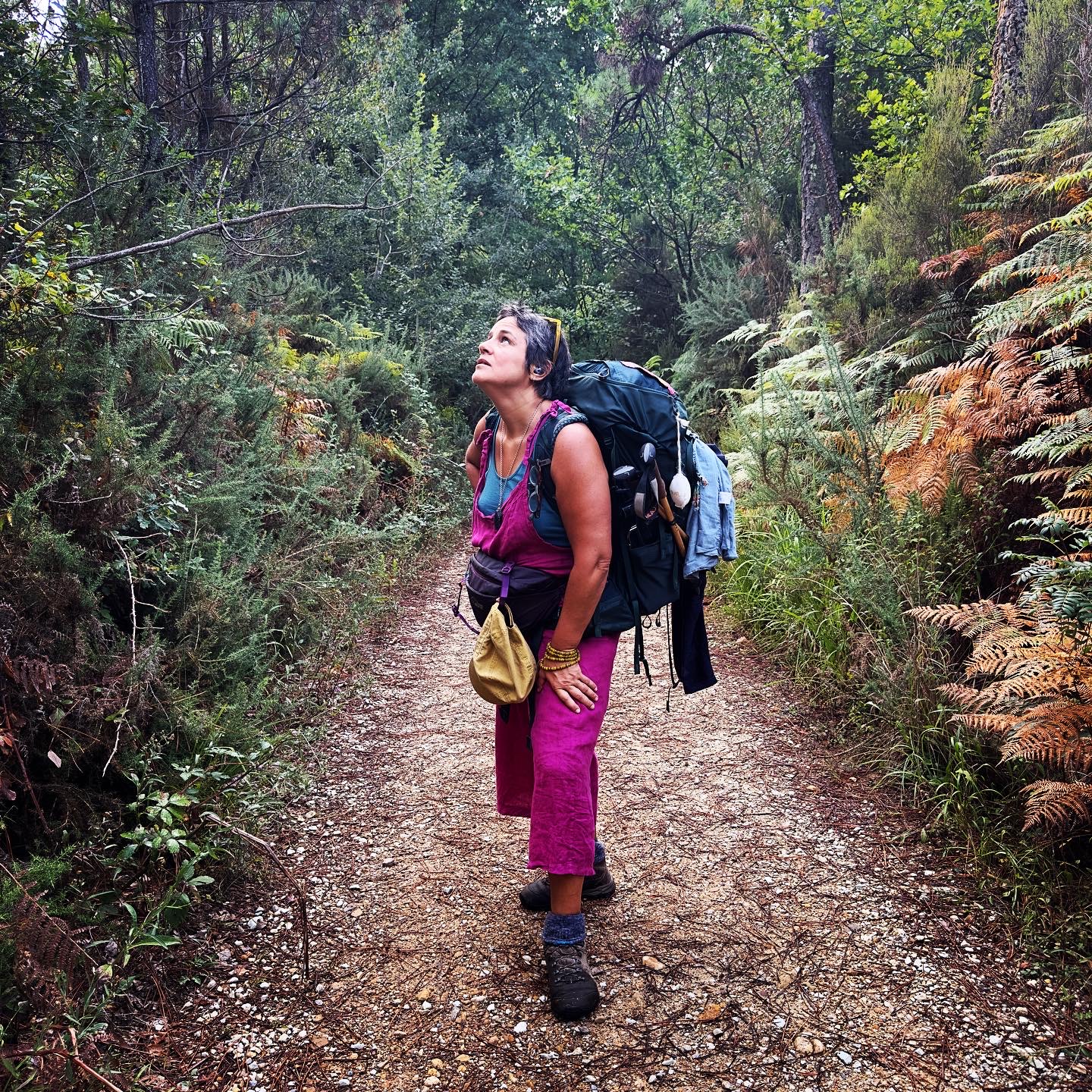 Marcheuse seule sur un sentier en forêt