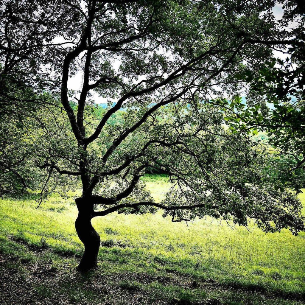 Photographie de Céline Anaya Gautier